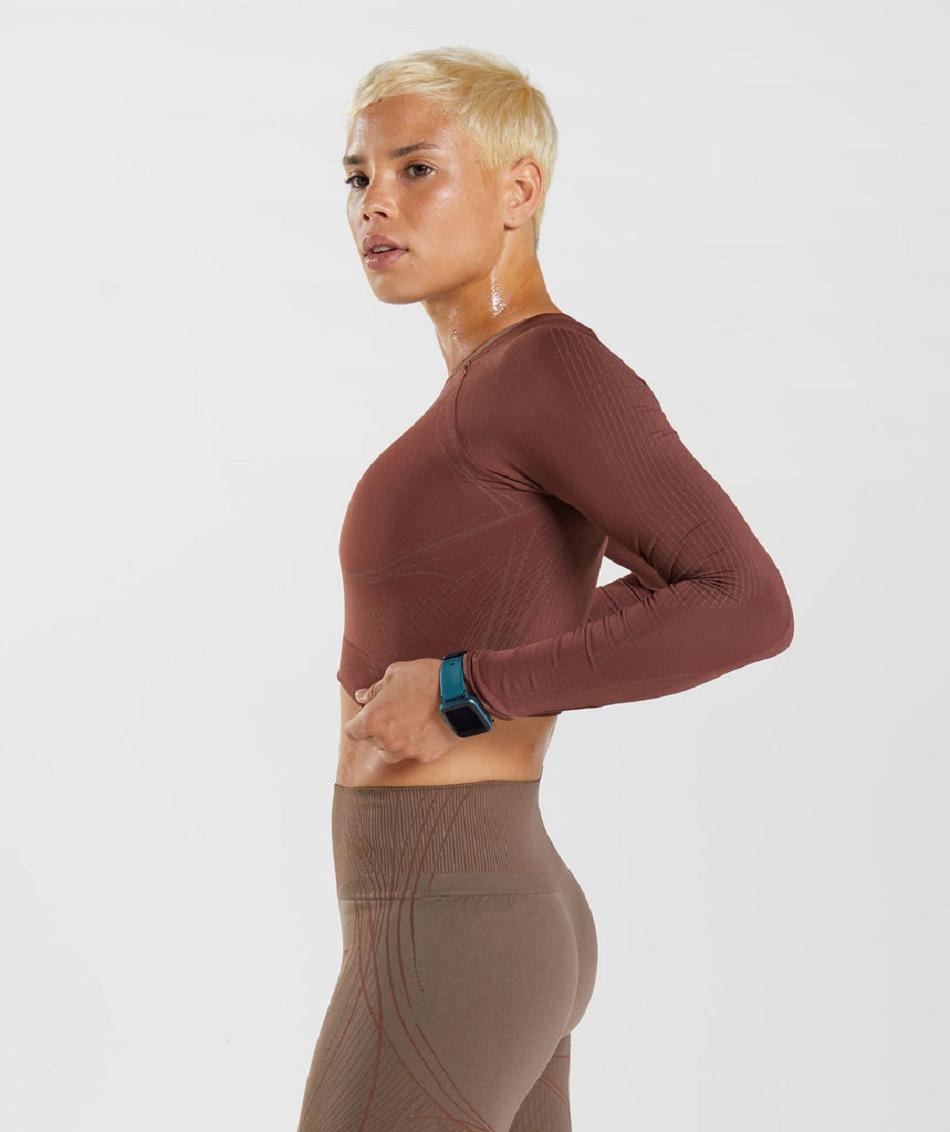 Przycięte Topy Damskie Gymshark Apex Seamless Różowe Brązowe Brązowe | PL 2571SGL